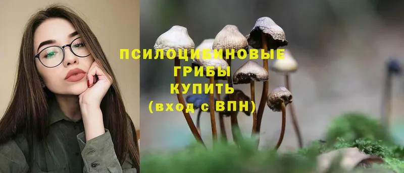 mega как зайти  продажа наркотиков  Тетюши  Галлюциногенные грибы MAGIC MUSHROOMS 